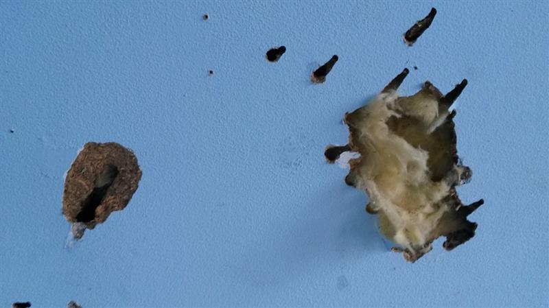 Innenwand mit KMF-Dämmung-2
